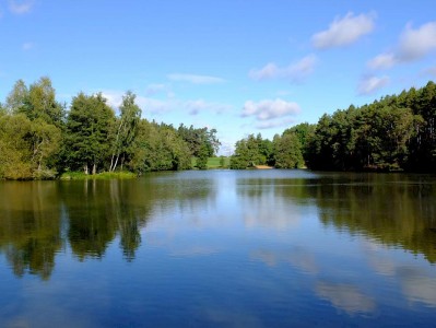 Krummweiher Bechhofen 2023