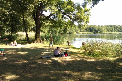 Liegewiese am "Großen Lausiger Teich"