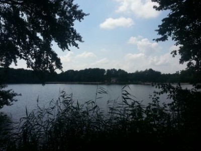 Am Sodenmattsee