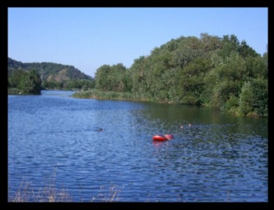 Hirschauer Baggersee