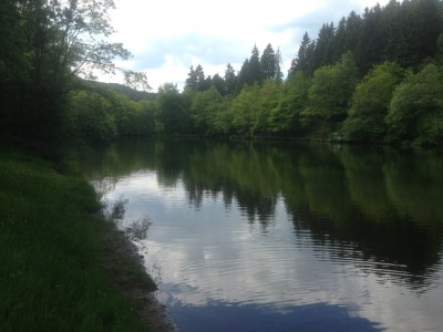 Weiher