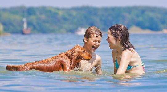 Mit Hund ins Freibad Bild