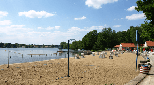 Bild zum Beitrag Bild