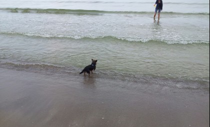Badestrand Prora Nord