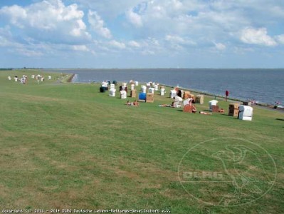 Meer- und Wiesenblick