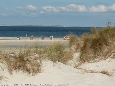 Meer- und Strandblück hinter den Dünen