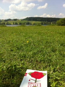 Liegewiese am Rottachsee