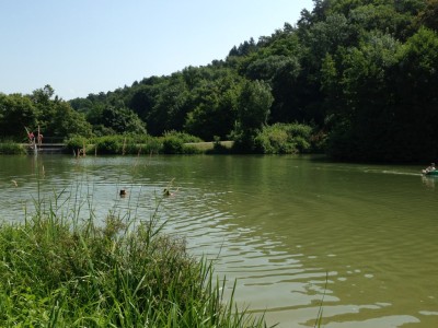 Mühlbacher See