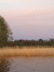 Baggersee Eggenstein