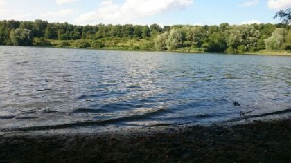 Ausblick vom Hundestrand am Eixer See 