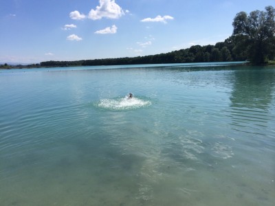 Naturbad Waldmattensee