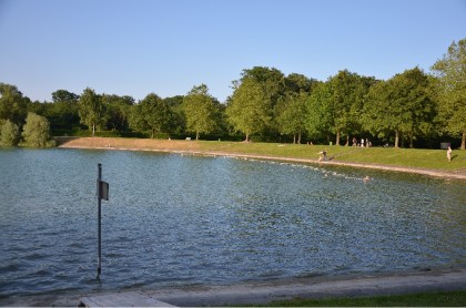 Badestrand am Baggersee Schutterwald