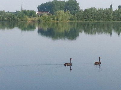 Auesee mit Blick auf den Dom