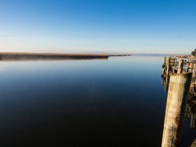 Sundische Wiesen Zingst