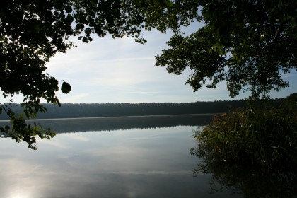 Nordufer - Zufahrt über Hohenfelde zum Naturschutzgebiet