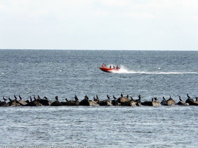 Die DLRG im Einsatz auf der Ostsee