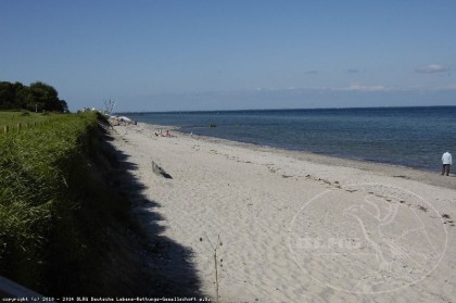 Strandblick am Campingplatz