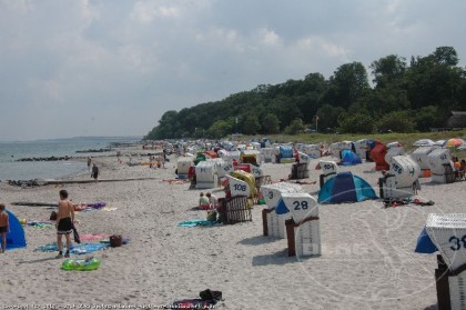 Strandkörbe auf dem Strand