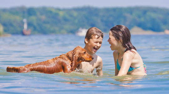Mit Hund ins Freibad Bild