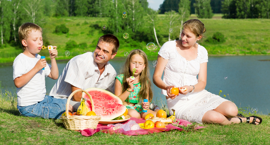 Familienpicknick am Badesee Bild