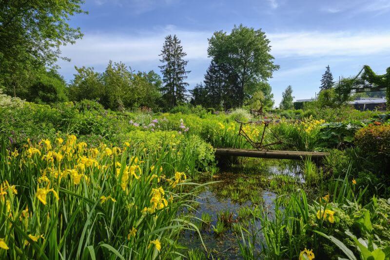 Bild von Garten- und Landschaftsbau Hendrik Timmerhaus e.K.