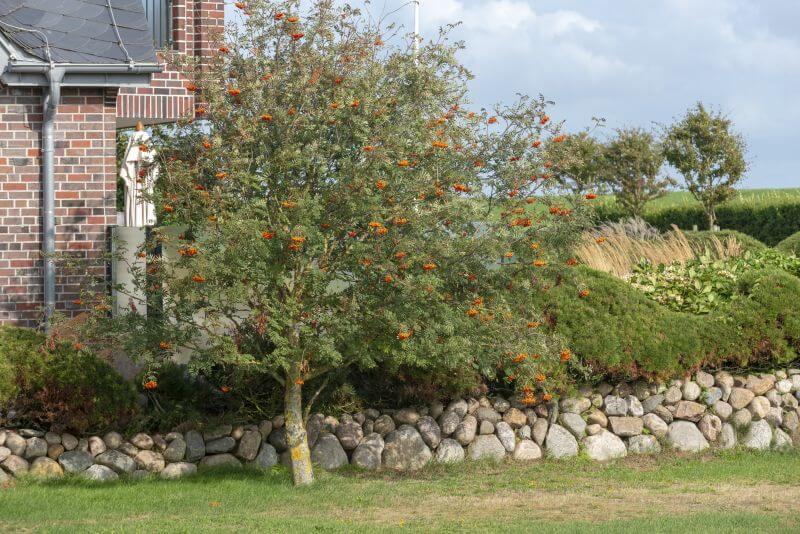 Bild von Büsching Gartenbau u. Friedhofsgärtnerei Friedhofsgärtnerei