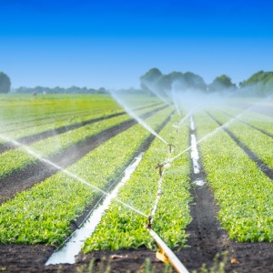 Bild von Josef Vornholz