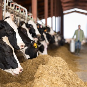 Bild von Guido Hennenberg