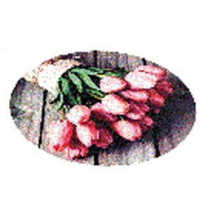 Bild von Blumen Meyer