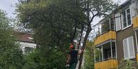 Nutzerfoto 3 BÄRENWALD 360-Grad Haus & Gartengestaltung