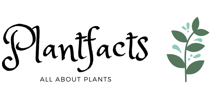 Plantfacts