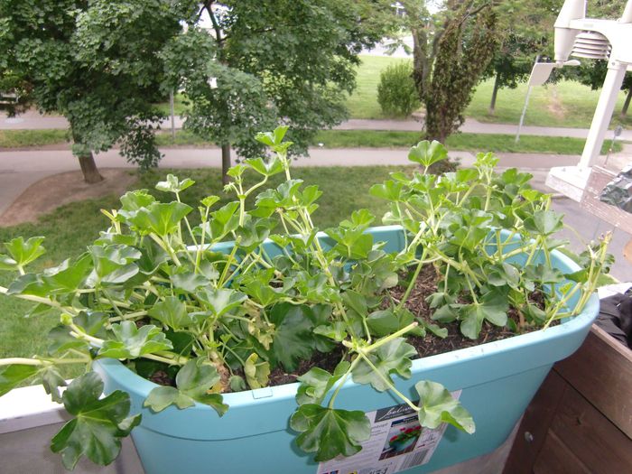 BALDUR-Garten GmbH