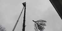 Nutzerfoto 2 Baumservice rope up