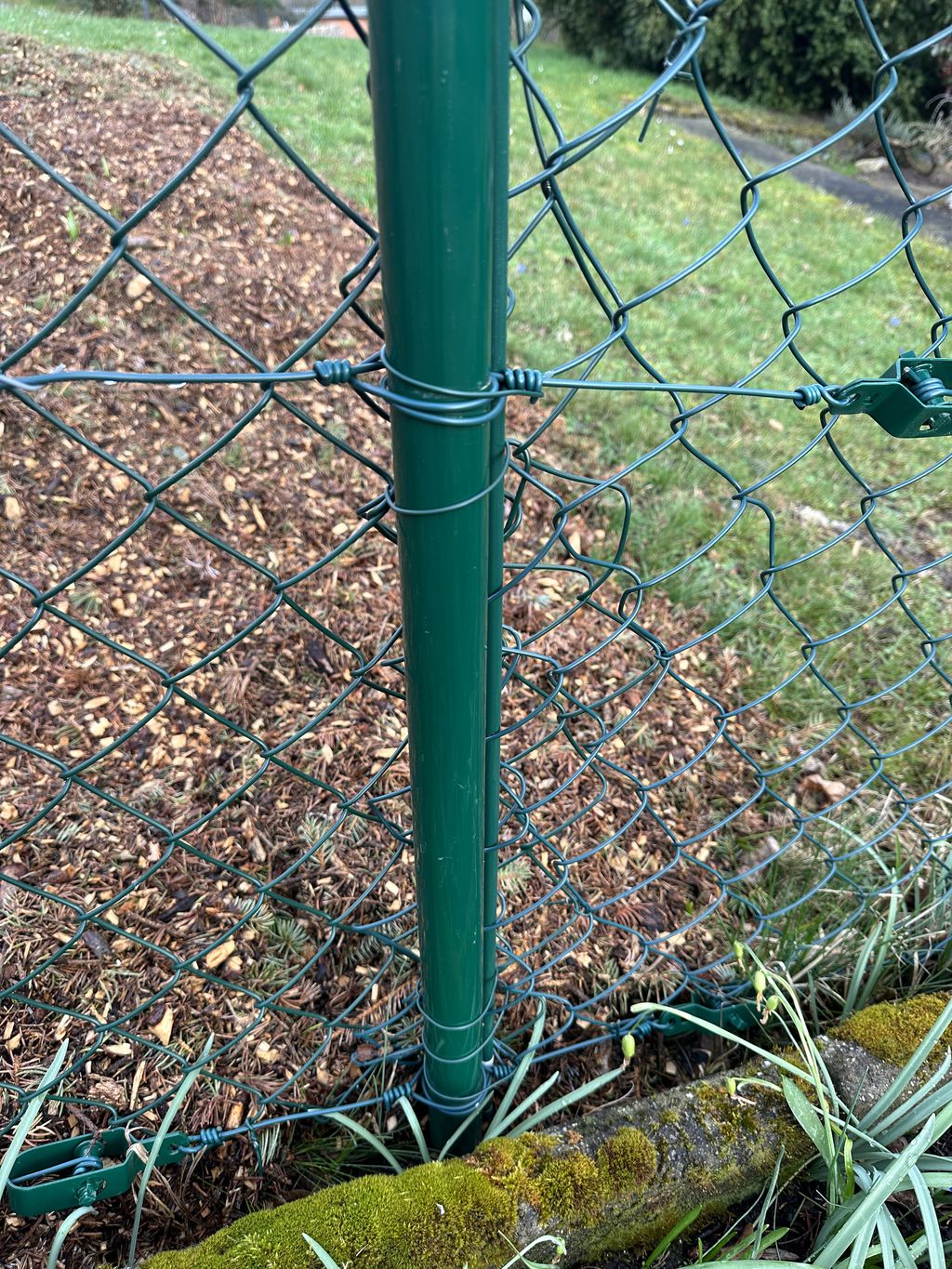 Nutzerfoto 1 Blum-Immobiliendienste