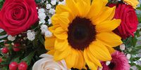 Nutzerfoto 1 Haus der Blumen Bonn-Kessenich
