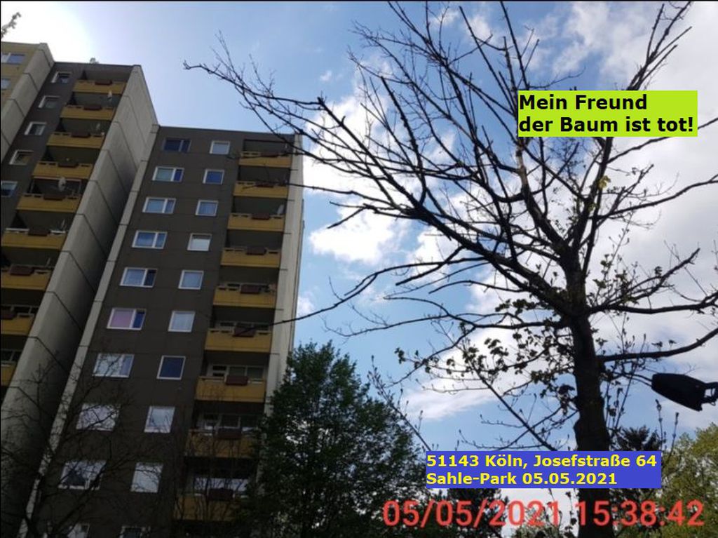Nutzerfoto 5 Sahle Wohnen Unternehmenssitz Nutzerfoto 5 Sahle Wohnen Unternehmenssitz
