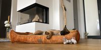 Nutzerfoto 9 Visco4Dogs GbR