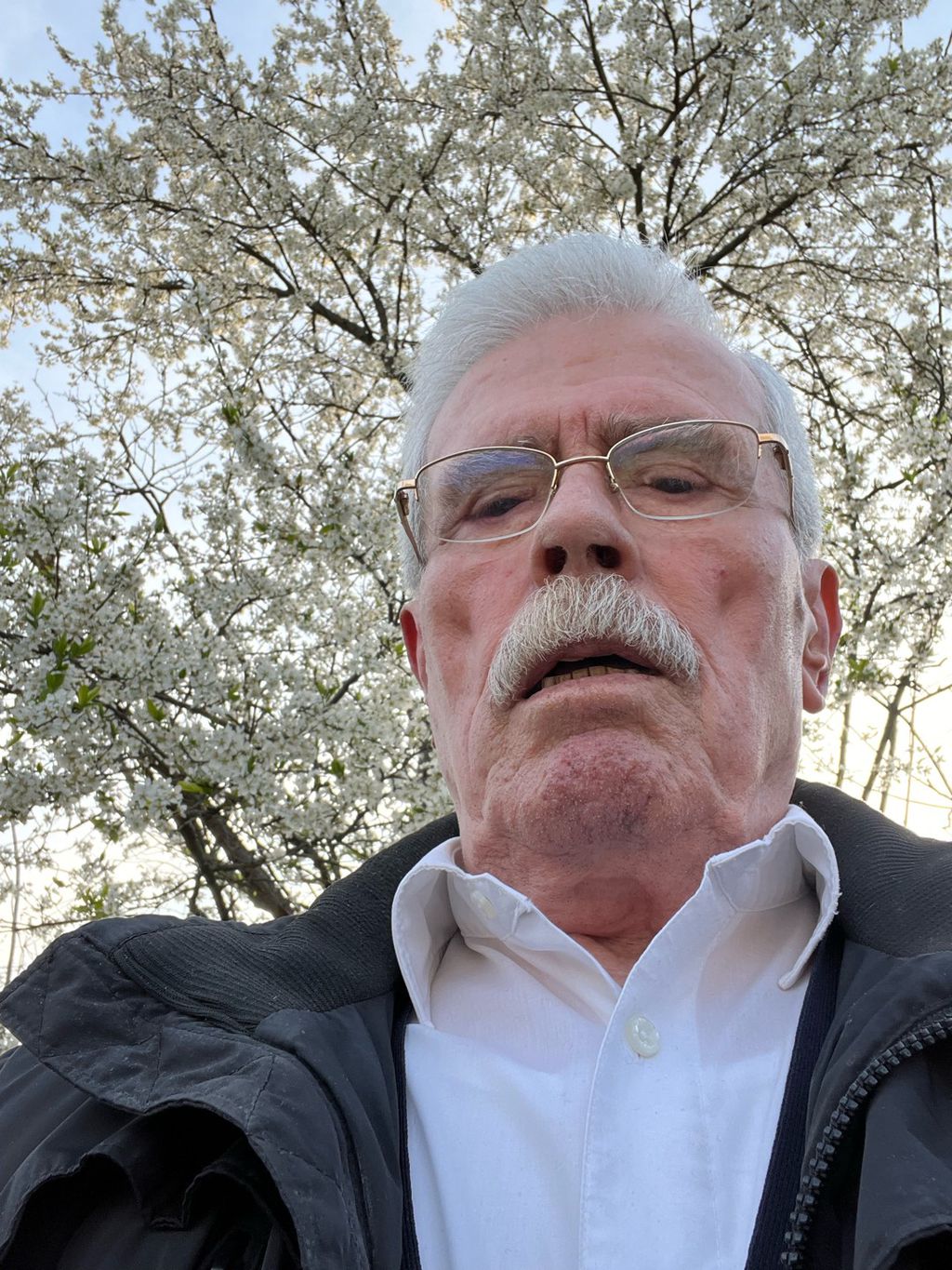 Nutzerfoto 1 Benderac Branko Taxiunternehmer