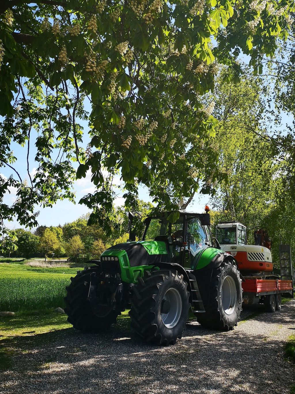 Nutzerfoto 1 Garten- und Tiefbau Selck