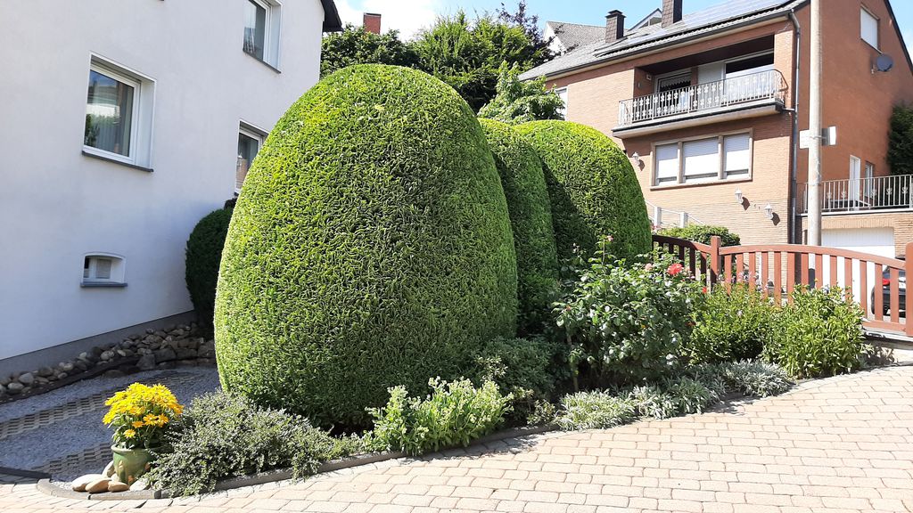 Nutzerfoto 2 Lokaj Gartenpflege