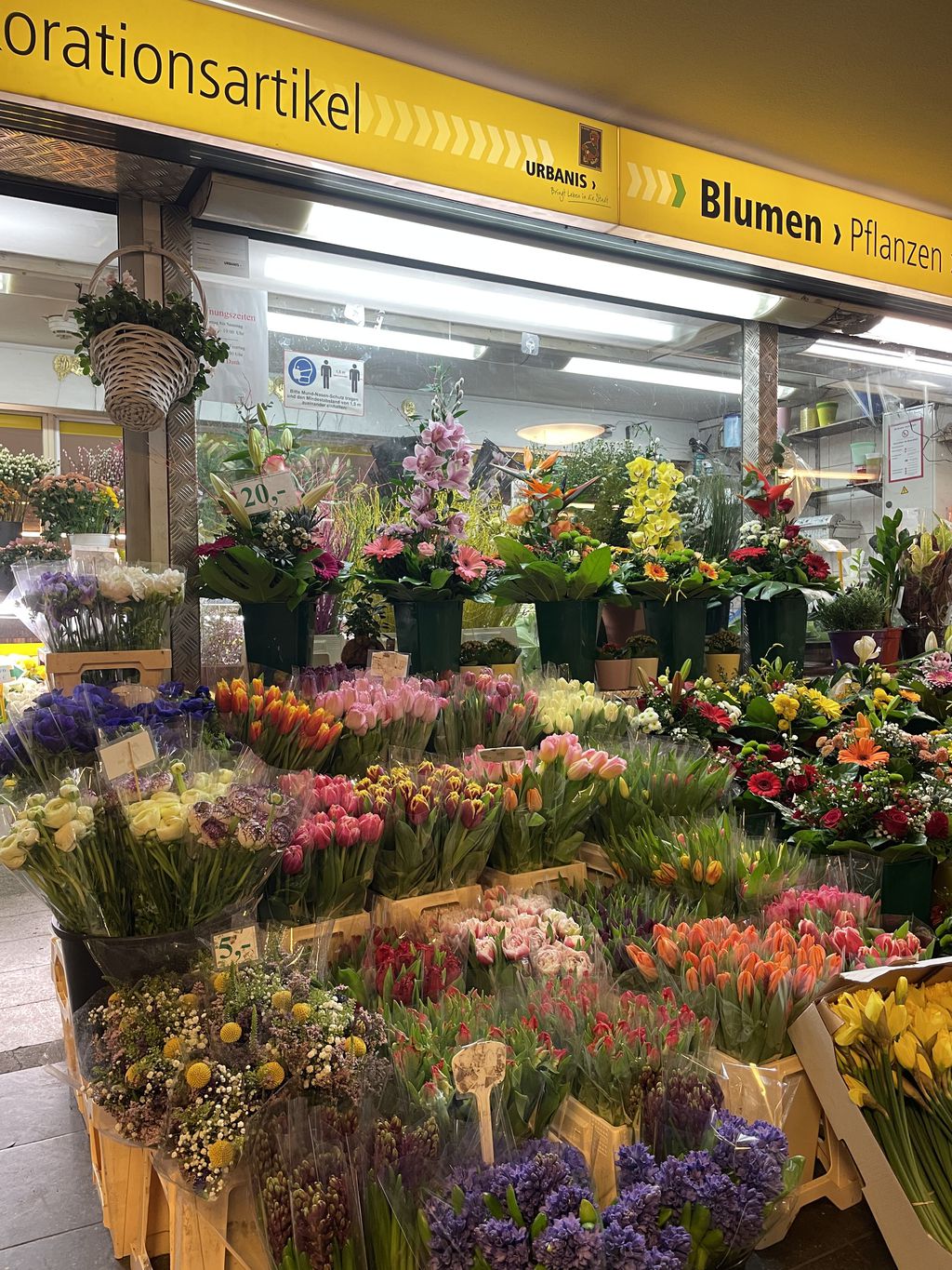 Nutzerfoto 1 Blumenladen Ubhf Alt Mariendorf Cong Tuan Nguyen Einzelunternehmen Nutzerfoto 1 Blumenladen Ubhf Alt Mariendorf Cong Tuan Nguyen Einzelunternehmen