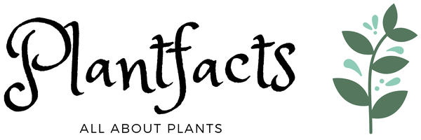 Bild zu Plantfacts