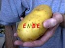 Das Örtliche