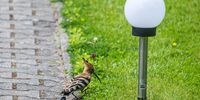 Nutzerfoto 1 Hölzke Manfred