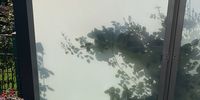 Nutzerfoto 1 Glas Belzer