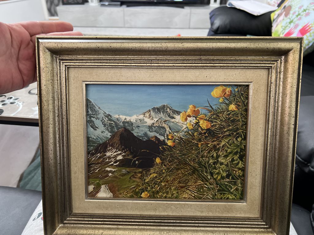 Nutzerfoto 1 A. Schutzmann e.K.
