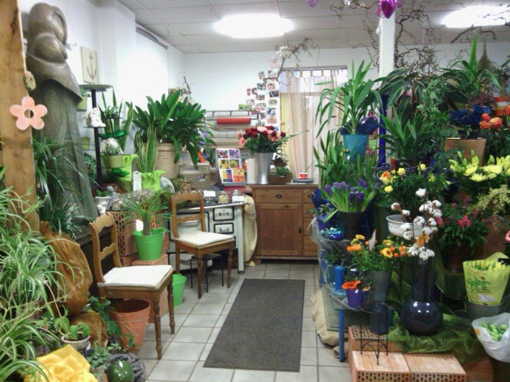 Nutzerfoto 1 DHL Paketshop Blumenhaus Siegmann