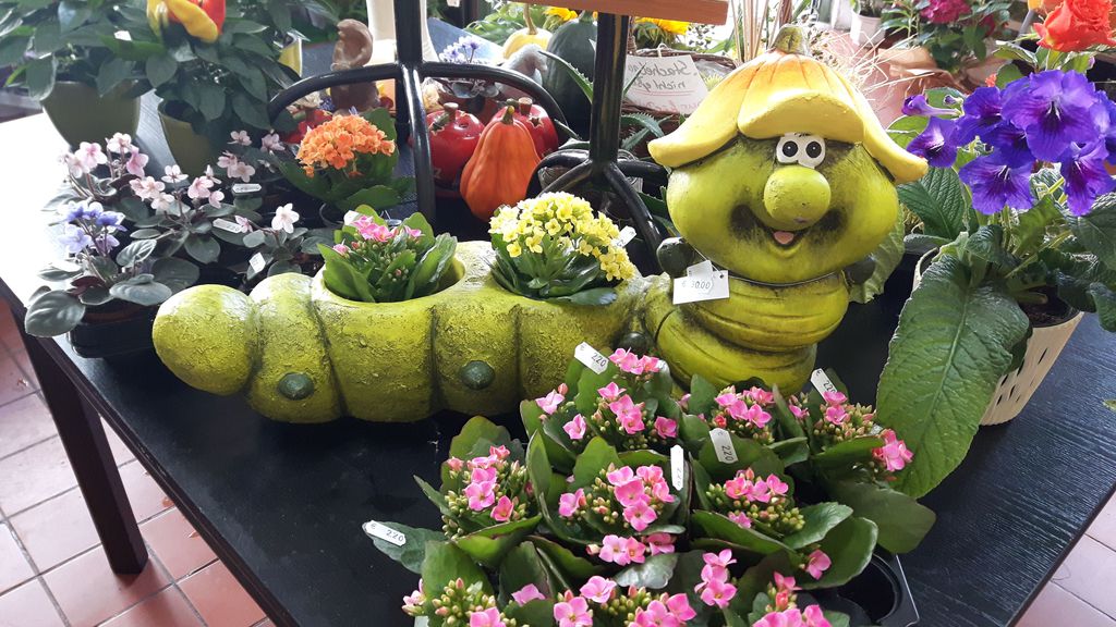 Nutzerfoto 2 Blumengeschäft Brondke