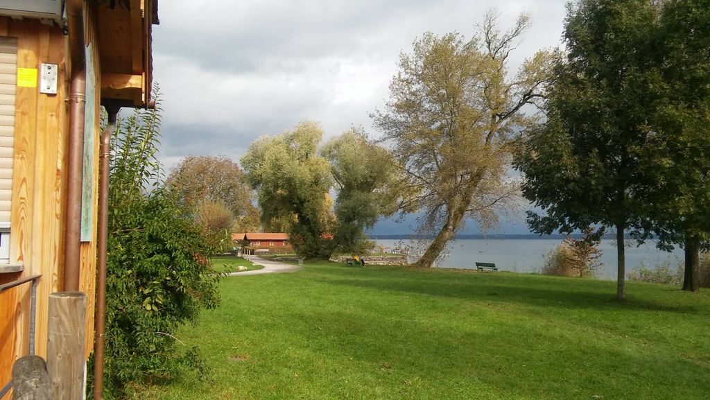 Nutzerfoto 1 Linde