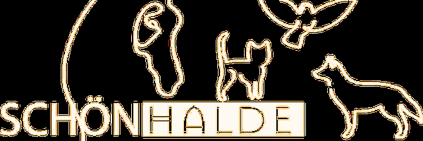 Bild zu Schönhalde Tierbestattung Pauluskirche GmbH